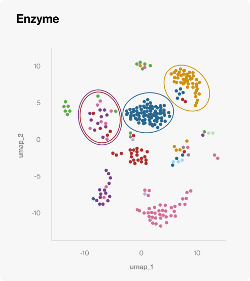 Enzyme