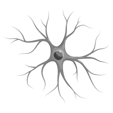 Neuron in Brand Grey